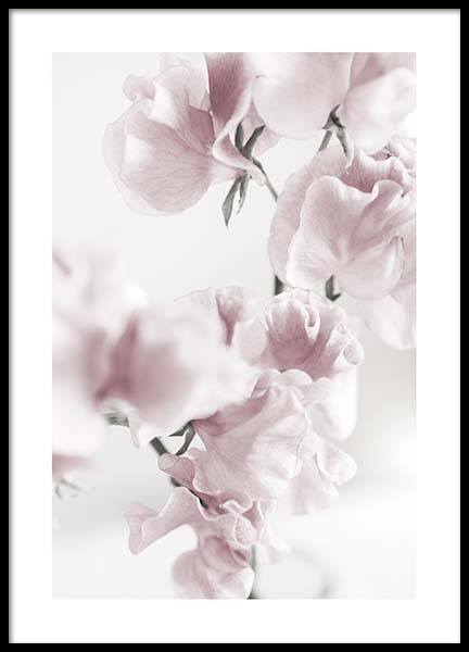 Summer Dream No1 Poster in the group Prints / Photographs at Desenio AB (10405)