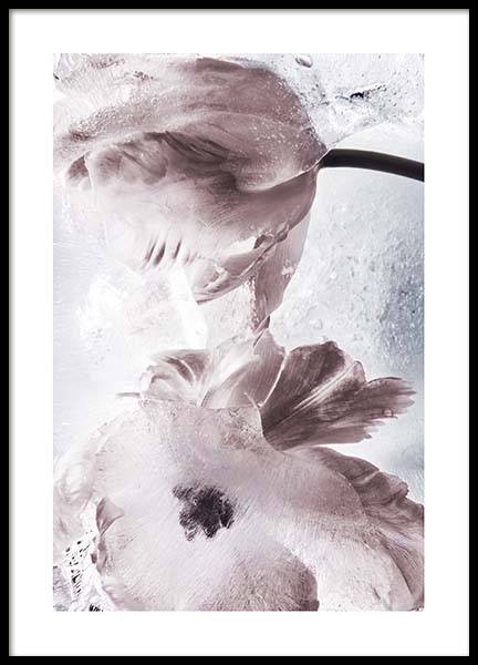 Tulipe And Ice No2 Poster in the group Prints / Photographs at Desenio AB (10410)