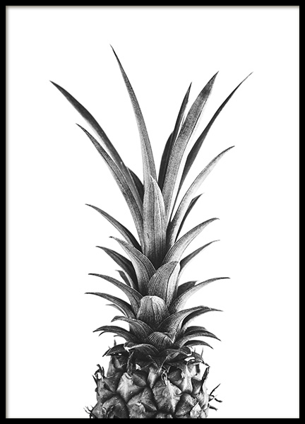 Pineapple B&W Poster - Pineapple Close Up - Desenio.co.uk