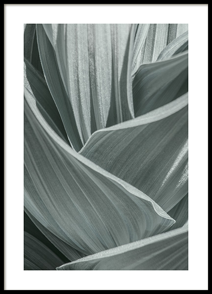 Abstract Green Leaves Poster in the group Prints / Photographs at Desenio AB (10982)