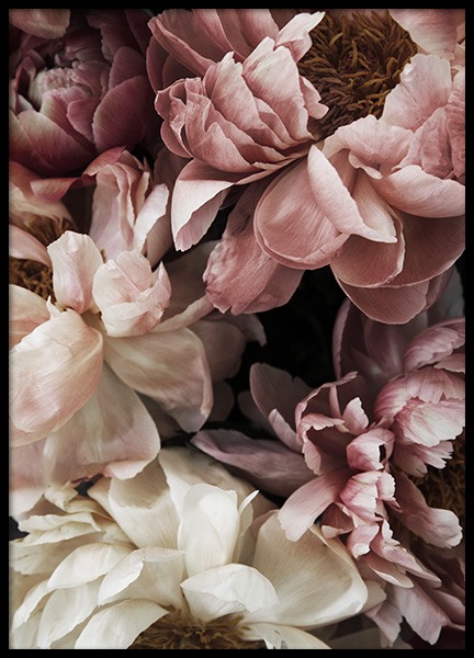 Flower Wall Poster in the group Prints / Photographs at Desenio AB (10990)