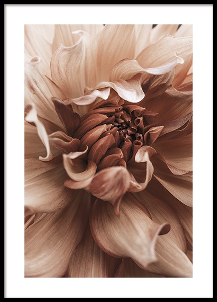 Earth Flower Poster in the group Prints / Photographs at Desenio AB (10998)