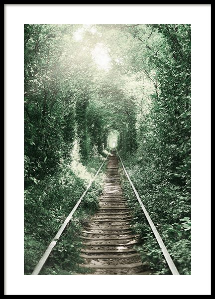 Forest Tunnel Poster in the group Prints / Nature at Desenio AB (11265)