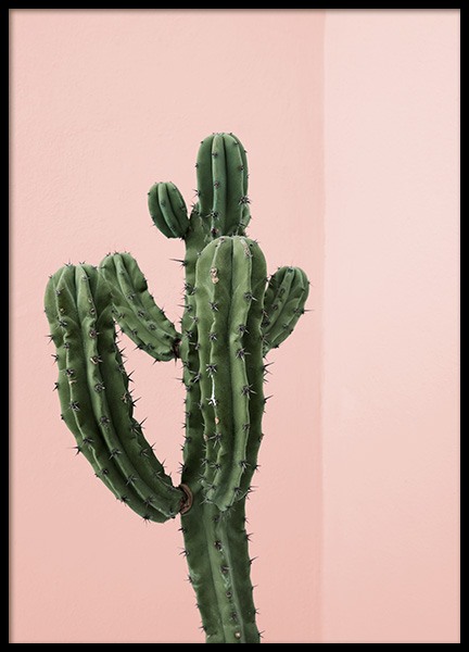 Cactus Corner Poster