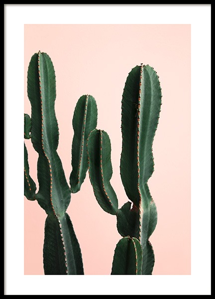 Cactus Twins Poster