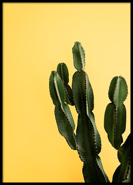Yellow Cactus Poster