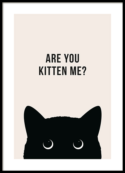 Are You Kitten Me? Poster