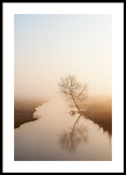 Misty Morning Light Poster in the group Prints / Photographs at Desenio AB (14909)
