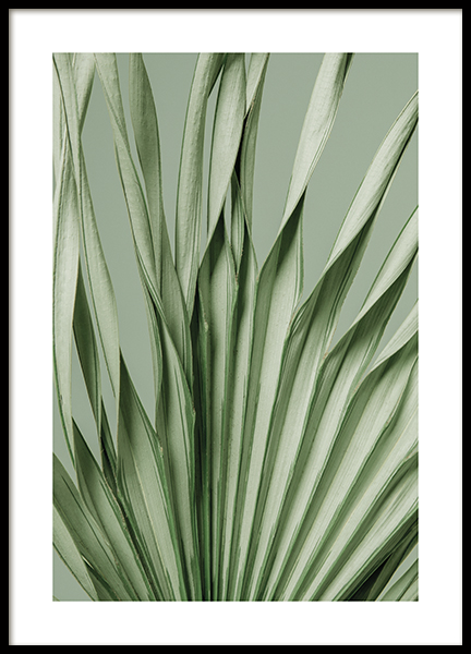 Twisted Palm Poster