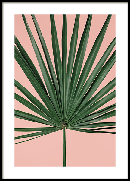 Pink Palm Leaf  Poster