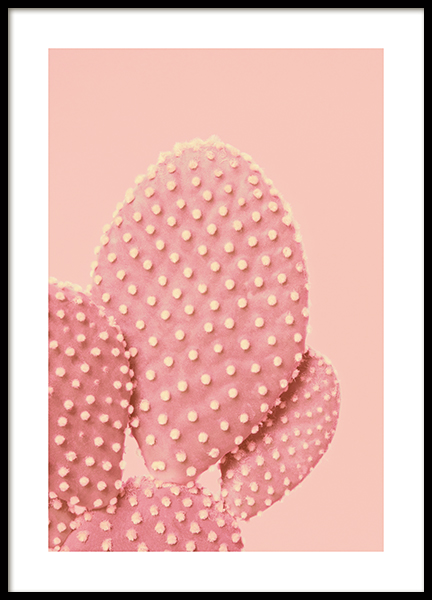 Pink Dotted Cactus Poster