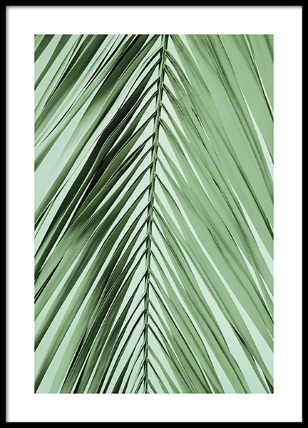 Parlour Palm Leaf Poster