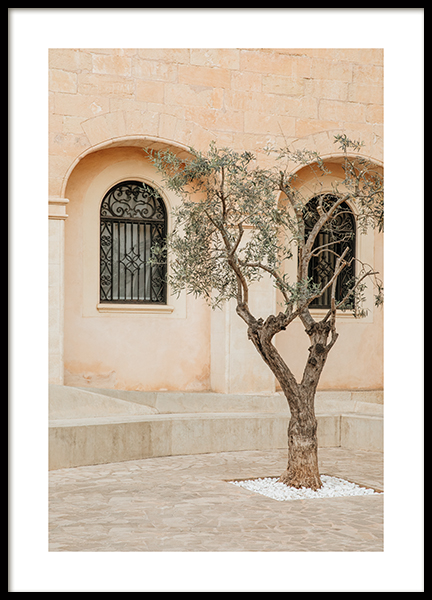 Lonely Olive Tree Poster