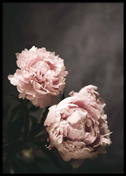 There's Beauty Poster in the group Prints / Photographs at Desenio AB (2788)