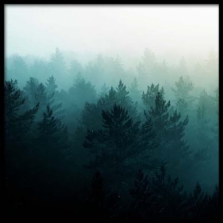 View Of Misty Forest Poster in the group Prints / Nature prints at Desenio AB (3567)