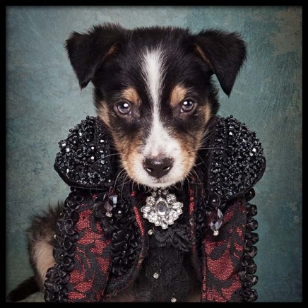 Puppy Portrait 2 Poster in the group Prints / Kids wall art at Desenio AB (3726)