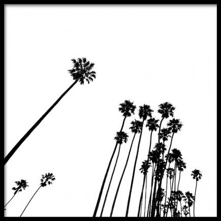 Venice Beach Palm Trees No2 Poster in the group Prints / Black & white at Desenio AB (3777)