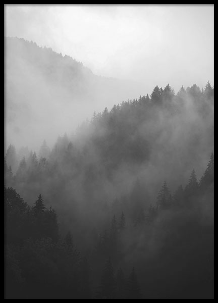 Black Forest, Posters