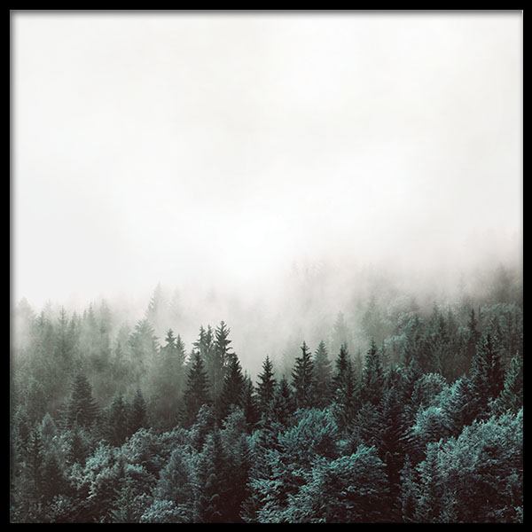 Tree Tops, Posters in the group Prints / Nature prints at Desenio AB (8587)