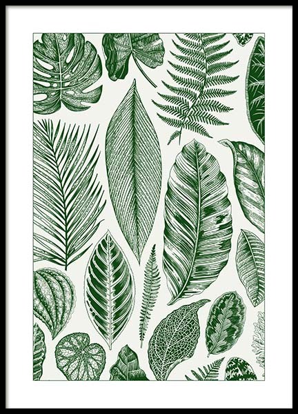 Green Leaves Poster