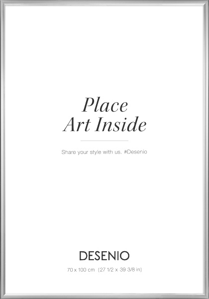 Picture frame Silver, 70x100