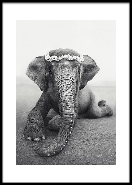 Love Warriors Sweetest Adele Poster in the group Prints at Desenio AB (Pre5619)