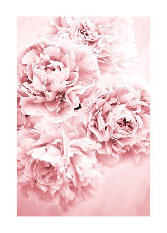 Pink Dream Poster / Photographs at Desenio AB (10054)