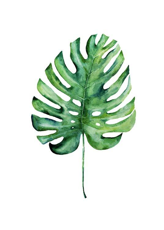  - Simple poster with the leaf of the Monstera plant in dark-green watercolours.