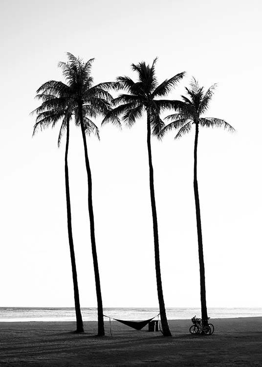  – Black and white photograph of palm trees on a beach