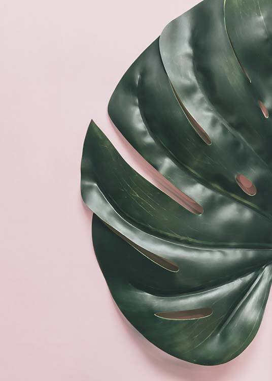 Leaf On Pink Poster