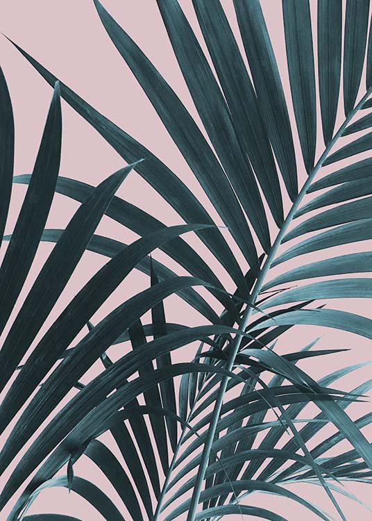  - Photo art of several palm leaves and a pink pastel background.