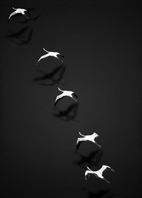  - Artful graphic poster with five flamingos flying in a row in black and white.
