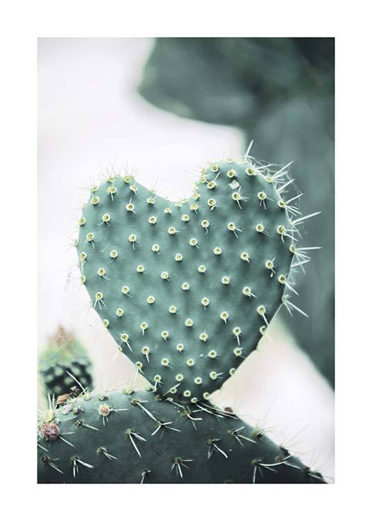 Heart Cactus Poster / Photographs at Desenio AB (10431)