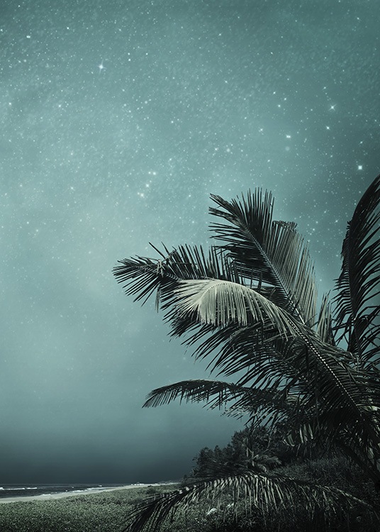 - Impressive photo poster of a clear night sky and tropical palm trees.