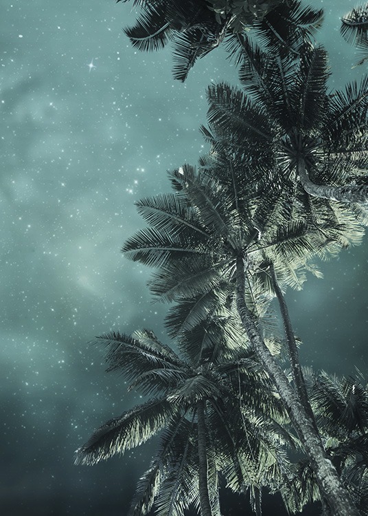 - Dreamy photo poster with a starry sky under tropical palm trees