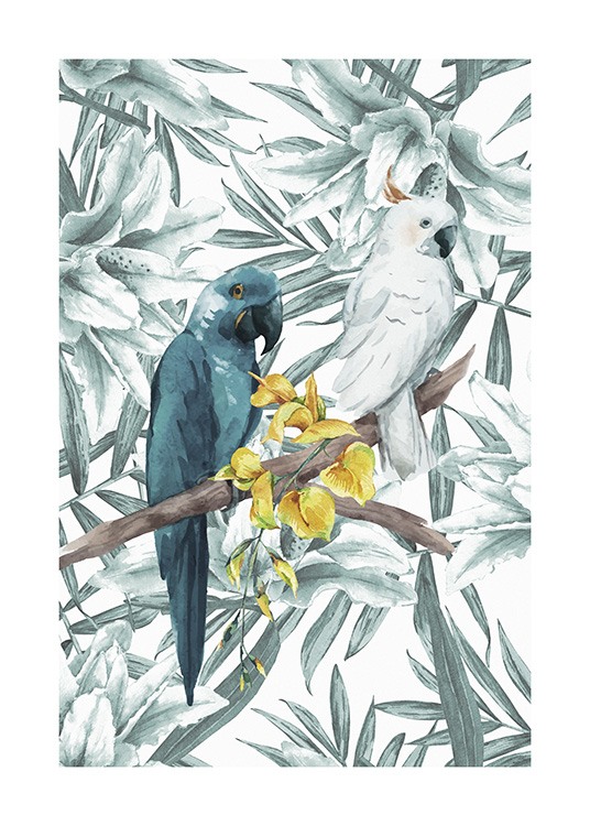 Tropical Bird No3 Poster / Animals at Desenio AB (10650)