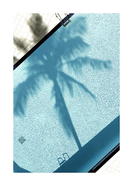 Pool and Palm Tree Poster / Photographs at Desenio AB (10668)