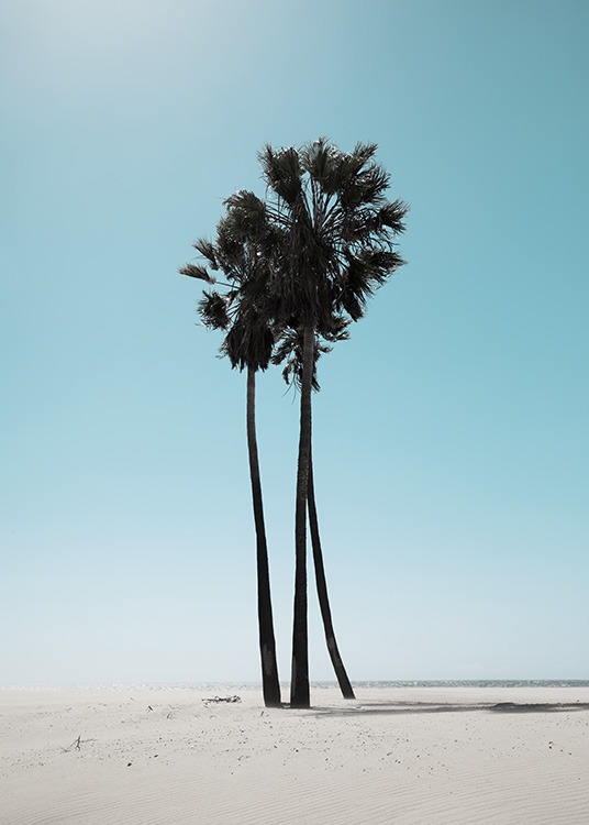 LA Beach Palms Poster - Coast to Coast – Photo poster of palm trees in ...