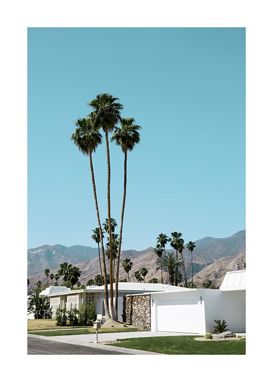 Street of Palm Springs Poster / 70x100 cm | 27 ½ x 39 ⅜ in at Desenio AB (10790)