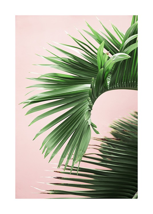 Pink and Green Palm No2 Poster