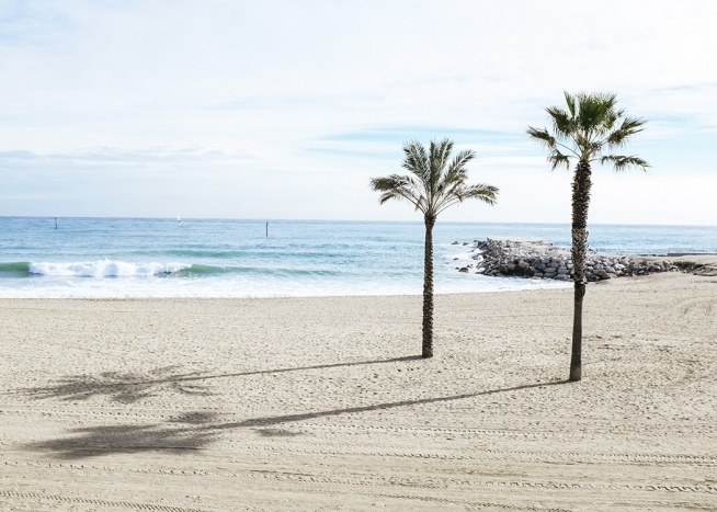  - Great beach shot in Barcelona with palm trees and a sandy beach.