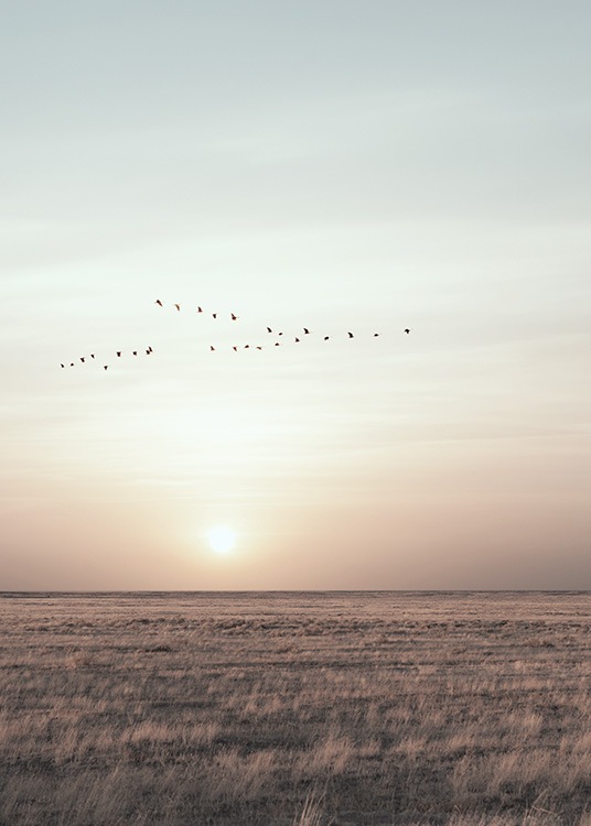  - Great shot at sunset on the steppes with a flock of birds in the sky.