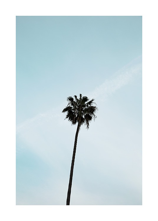 Palm Tree Poster / Nature prints at Desenio AB (10955)