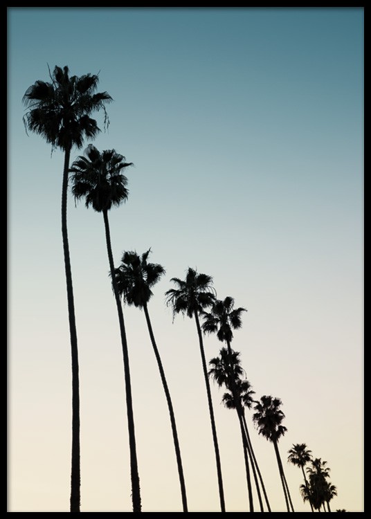 Palm Row Sunset Poster - Row of palms - Desenio.co.uk