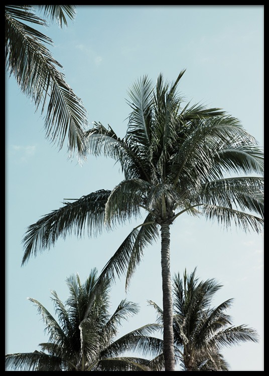Tropical Palms No1 Poster - Tropical palms - Desenio.co.uk