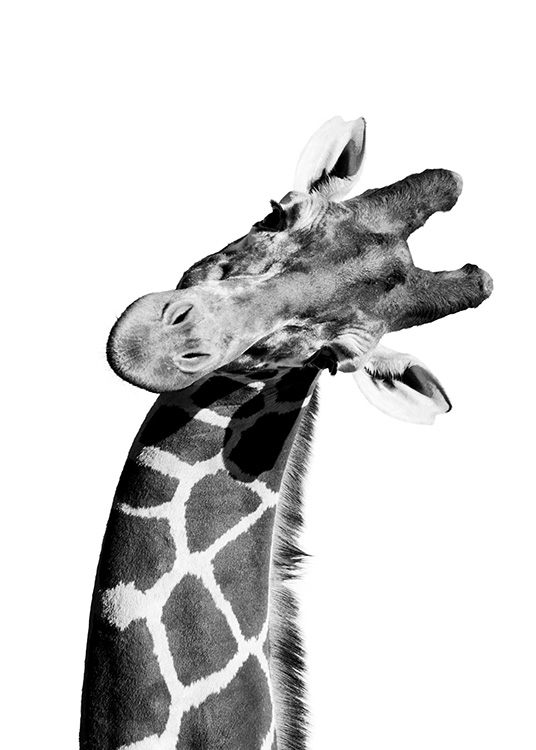  - Uplifting black and white animal poster showing a giraffe in portrait.