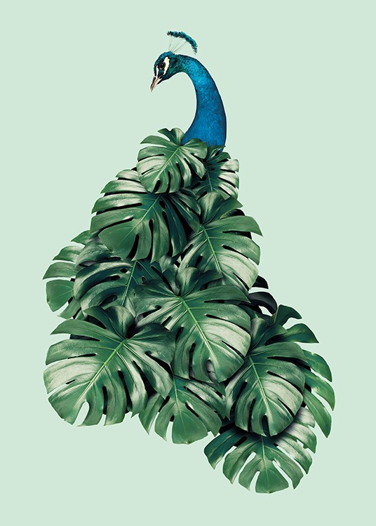 Monstera Bird Poster