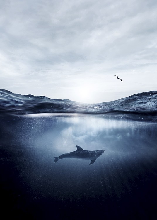  - Great graphic poster with a dolphin below the surface of the water.