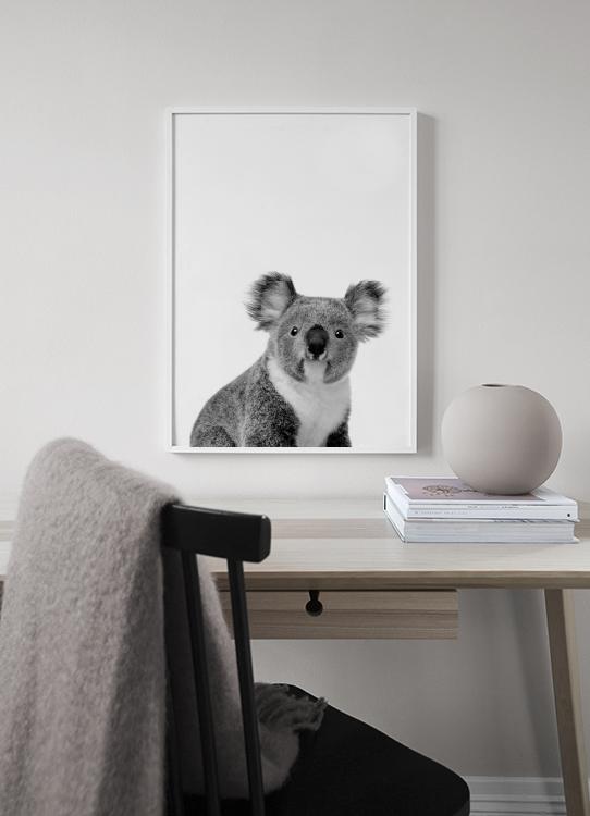 Koala Poster Koala portrait Desenio.co.uk