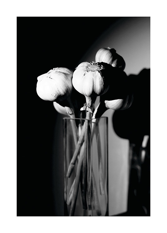 Garlic in a Vase Poster / Black & white at Desenio AB (11278)
